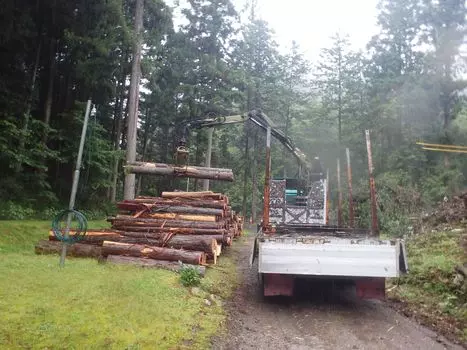 木材搬出